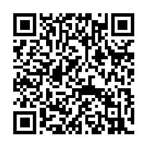 Link to your fundraiser QRCode - Fundraising