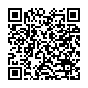Link to your fundraiser QRCode - Fundraising