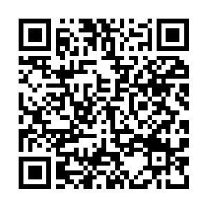 Link to your fundraiser QRCode - Fundraising