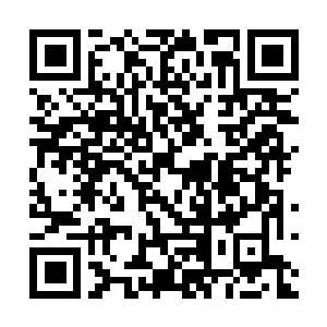 Link to your fundraiser QRCode - Fundraising