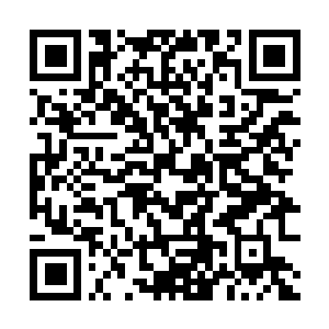 Link to your fundraiser QRCode - Fundraising