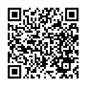Link to your fundraiser QRCode - Fundraising