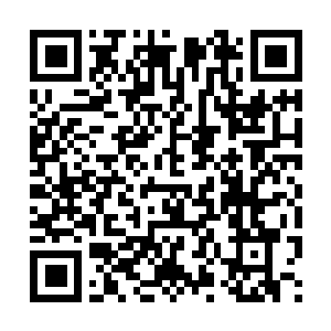 Link to your fundraiser QRCode - Fundraising