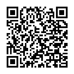 Link to your fundraiser QRCode - Fundraising