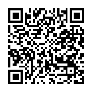 Link to your fundraiser QRCode - Fundraising