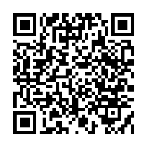 Link to your fundraiser QRCode - Fundraising
