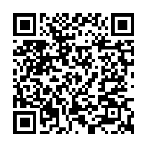 Link to your fundraiser QRCode - Fundraising