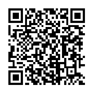 Link to your fundraiser QRCode - Fundraising
