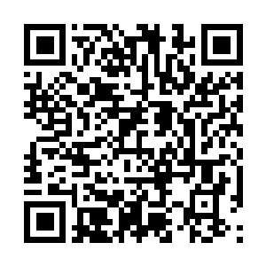 Link to your fundraiser QRCode - Fundraising