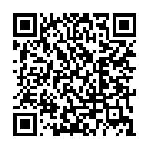 Link to your fundraiser QRCode - Fundraising