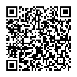 Link to your fundraiser QRCode - Fundraising