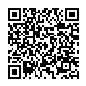Link to your fundraiser QRCode - Fundraising