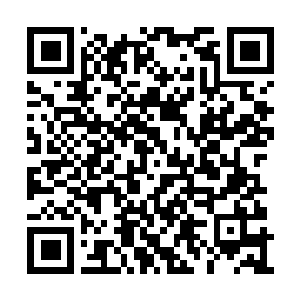 Link to your fundraiser QRCode - Fundraising