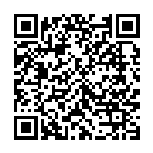 Link to your fundraiser QRCode - Fundraising