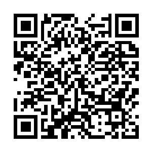Link to your fundraiser QRCode - Fundraising