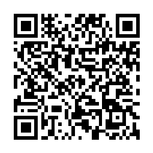Link to your fundraiser QRCode - Fundraising