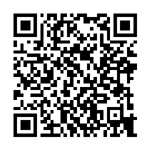 Link to your fundraiser QRCode - Fundraising