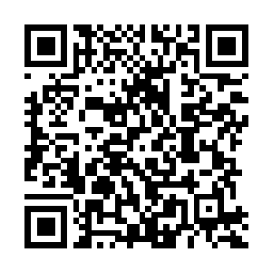 Link to your fundraiser QRCode - Fundraising