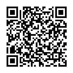 Link to your fundraiser QRCode - Fundraising