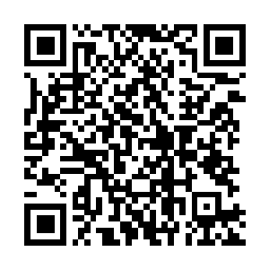 Link to your fundraiser QRCode - Fundraising