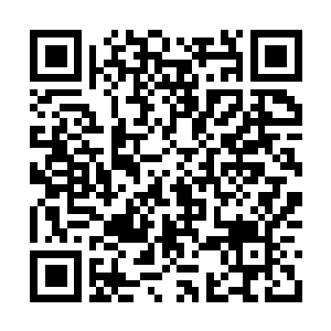 Link to your fundraiser QRCode - Fundraising