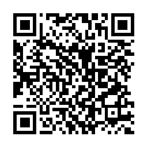 Link to your fundraiser QRCode - Fundraising