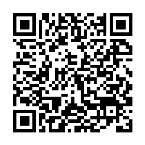 Link to your fundraiser QRCode - Fundraising