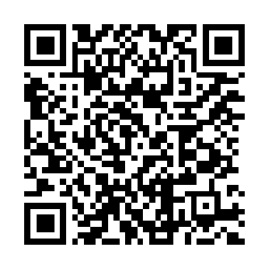 Link to your fundraiser QRCode - Fundraising