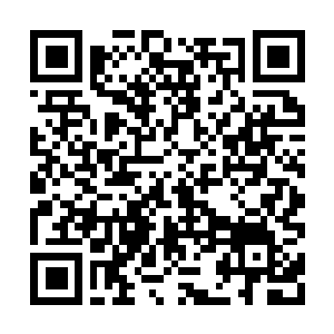 Link to your fundraiser QRCode - Fundraising