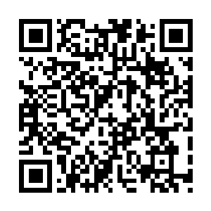 Link to your fundraiser QRCode - Fundraising