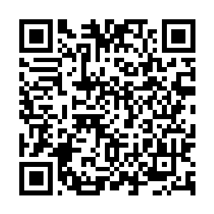 Link to your fundraiser QRCode - Fundraising