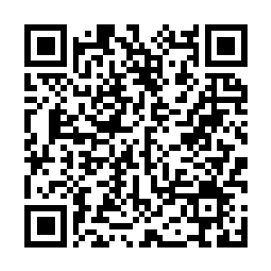 Link to your fundraiser QRCode - Fundraising