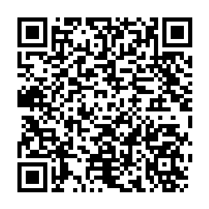 Link to your fundraiser QRCode - Fundraising