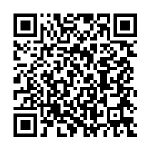 Link to your fundraiser QRCode - Fundraising