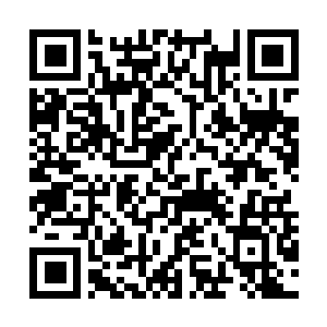 Link to your fundraiser QRCode - Fundraising