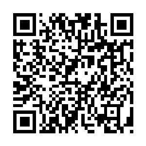 Link to your fundraiser QRCode - Fundraising