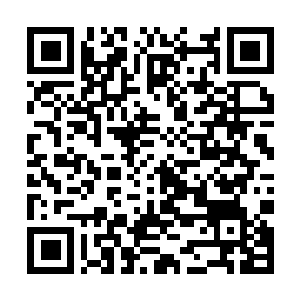 Link to your fundraiser QRCode - Fundraising