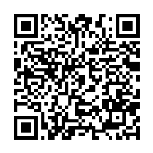 Link to your fundraiser QRCode - Fundraising