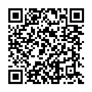 Link to your fundraiser QRCode - Fundraising