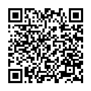 Link to your fundraiser QRCode - Fundraising