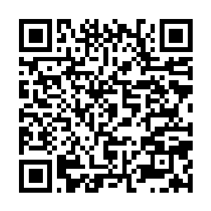 Link to your fundraiser QRCode - Fundraising