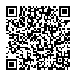 Link to your fundraiser QRCode - Fundraising