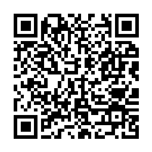 Link to your fundraiser QRCode - Fundraising