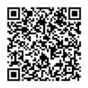 Link to your fundraiser QRCode - Fundraising