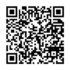 Link to your fundraiser QRCode - Fundraising