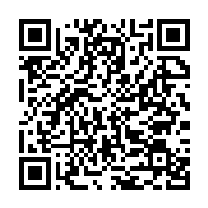 Link to your fundraiser QRCode - Fundraising