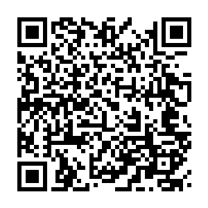 Link to your fundraiser QRCode - Fundraising