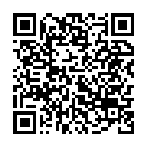 Link to your fundraiser QRCode - Fundraising
