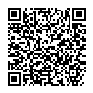 Link to your fundraiser QRCode - Fundraising