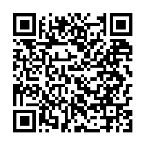 Link to your fundraiser QRCode - Fundraising